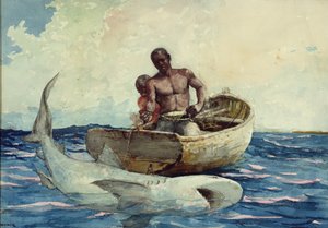 Pêche au requin, 1885