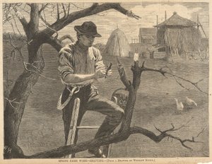 Travail agricole de printemps