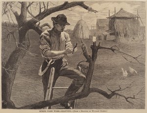 Travail agricole de printemps - Greffage, publié en 1870
