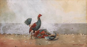 Le combat de coqs - Winslow Homer