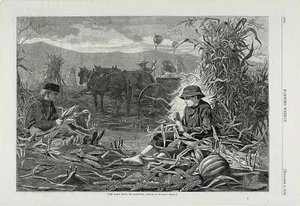 Les derniers jours de la récolte - Winslow Homer