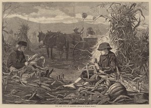 Les derniers jours de la récolte - Winslow Homer
