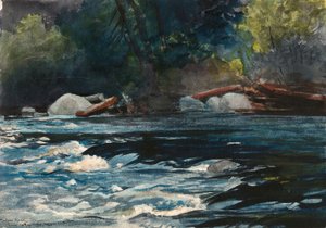 Les rapides, rivière Hudson, Adirondacks - Winslow Homer
