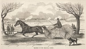 Trotting on the Mill Dam, Boston, 1859 - Winslow Homer