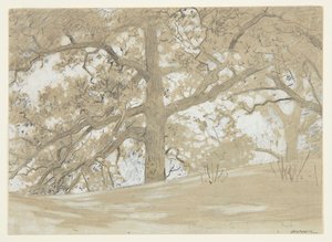 Chênes de Waverly - Winslow Homer