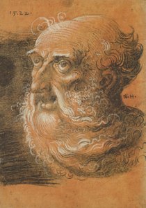 Étude de tête, 1522 - Wolf Huber