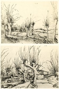 Paysages avec saules