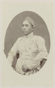 Hamengku Buwono VIII - Woodbury and Page