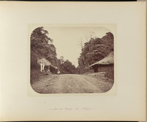 Sommet du Poentjak près de Buitenzorg - Woodbury and Page