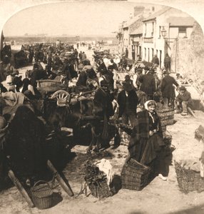 Vente du bâton de vie de l