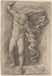 Faune Combattant un Serpent