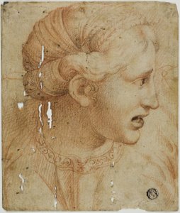 Tête de femme de profil, tournée vers la droite - Workshop of Raphael