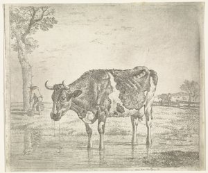 Vache buvant - Wouter Johannes van Troostwijk
