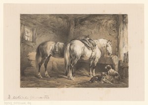 Deux chevaux et chiens dans une étable - Wouter  Verschuur
