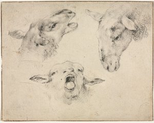 Têtes de moutons, deuxième ou troisième quart du 19e siècle - Wouterus Verschuur