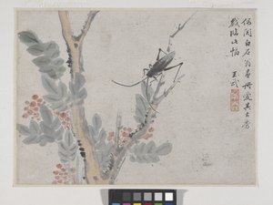 Insecte et arbre après Shen Zhou - Wu Wang