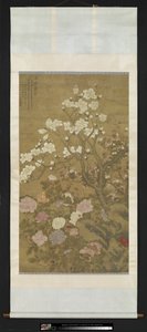 Pivoine et magnolia
