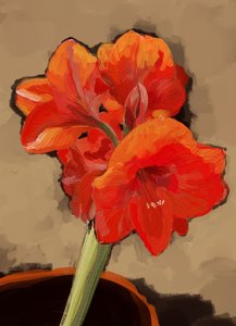 Floraison vibrante d