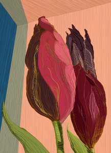 Des tulipes modernes aux couleurs vives