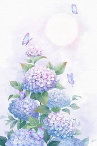 Jardin d