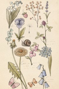 Dessin de plante - Xuan Thai