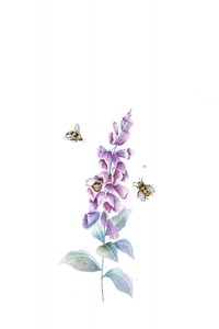 Abeilles et fleurs à l