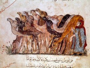 Un groupe de chameaux et de dromadaires, caravane dans le désert. Page de « Maqamat » (Séances), poème picaresque du 11e siècle par le poète arabe Abu Mohammed al-Kasim ibn Ali Hariri (ou Al-Hariri ou Al Hariri) (1054-1122) illustré par Al-Wasiti (al-Wasit - Yahya ibn Mahmud Al Wasiti