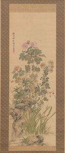 Fleurs d