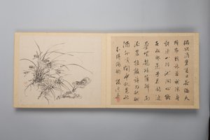 Élégance raffinée dans les quatre saisons Shiji seiga, Album de peintures de fleurs - Yamamoto Baiitsu