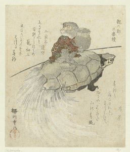 Singe avec tortue à poil long