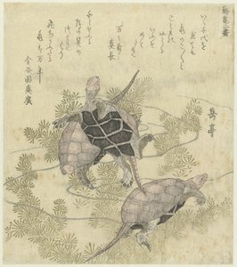 Trois tortues entre des plantes aquatiques - Yashima Gakutei