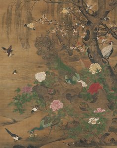 Oiseaux se rassemblant sous le saule printanier