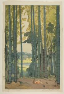 Forêt de bambous