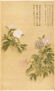 Pivoines, 1685 - Shouping Yun