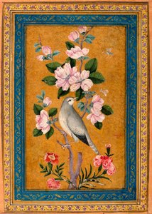 Oiseau perché sur une branche en fleurs, 1696 - Yusuf Zaman