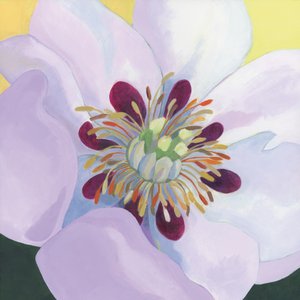  - Yvonne Gustafsson