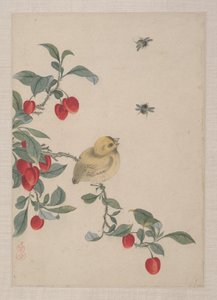 Oiseaux, insectes et fleurs - Zhai Yi