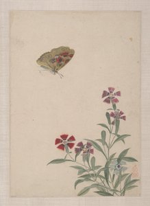 Oiseaux, insectes et fleurs - Zhai Yi