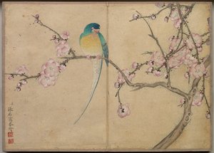 Album de bureau : Peintures de fleurs et d