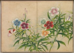 Album de bureau : Peintures de fleurs et d