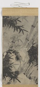 Bambou - Zhengxing (bijnaam Wuzhai)