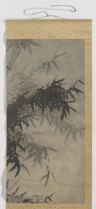 Bambou - Zhengxing (bijnaam Wuzhai)