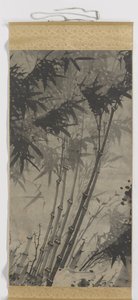 Bambou - Zhengxing (bijnaam Wuzhai)