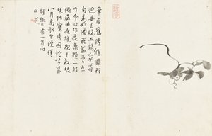 Paysages et fleurs, album de six feuilles - Zhu da Bada Shanren