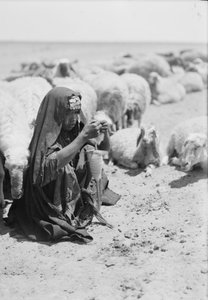 Une jeune bergère bédouine filant près de Beersheba