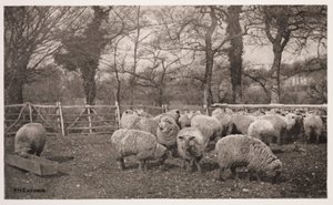 Un automne champêtre - Frederick (attr. to) Barnard