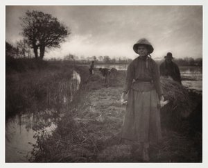 Agriculture arable, Récolte 