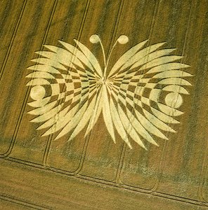 Cercle de culture dans un champ de blé, Hailey Wood, Ashbury, Oxfordshire