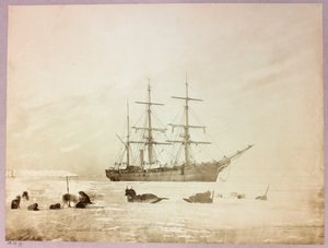 Expédition en Arctique (1875-1876) du capitaine George Nares (1831-1915) : H - Frederick (attr. to) Barnard