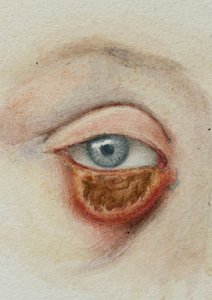 Yeux